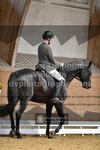 ref. photo 3362559