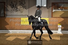 ref. photo 3362581