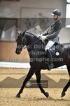 ref. photo 3362584