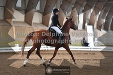 ref. photo 3362606