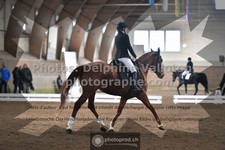 ref. photo 3362607