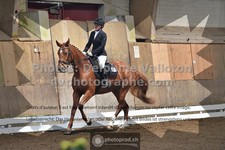 ref. photo 3362609