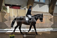 ref. photo 3362632