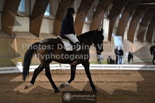 ref. photo 3362634