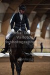 ref. photo 3362642