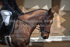 ref. photo 3362671
