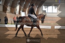 ref. photo 3362689