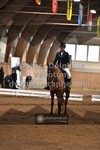 ref. photo 3362696