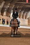 ref. photo 3362698