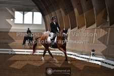 ref. photo 3362748