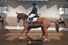 ref. photo 3362750