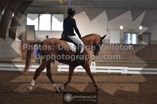 ref. photo 3362754