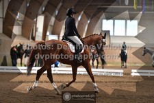 ref. photo 3362849