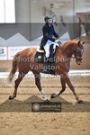 ref. photo 3362928