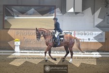 ref. photo 3362932
