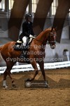 ref. photo 3362934
