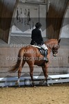 ref. photo 3362951