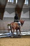 ref. photo 3362952