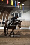 ref. photo 3362999