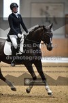 ref. photo 3363030