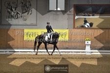 ref. photo 3363034