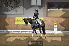 ref. photo 3363036