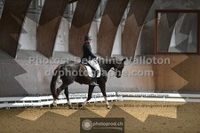 ref. photo 3363038