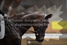 ref. photo 3363046