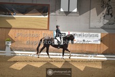 ref. photo 3363053