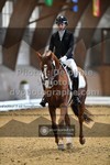 ref. photo 3363079