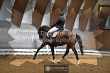 ref. photo 3363116