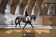 ref. photo 3363117
