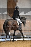 ref. photo 3363122