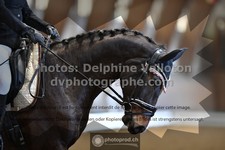 ref. photo 3363127
