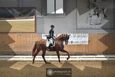 ref. photo 3363187