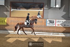 ref. photo 3363191