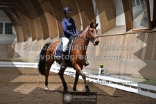ref. photo 3363233