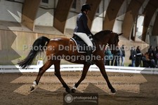 ref. photo 3363240
