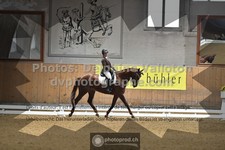 ref. photo 3363262