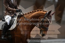 ref. photo 3363272