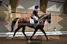 ref. photo 3363329