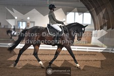 ref. photo 3363348