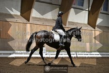 ref. photo 3363379