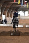 ref. photo 3363412