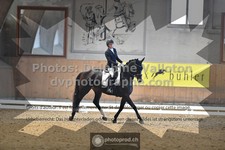 ref. photo 3363449