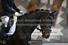 ref. photo 3363457