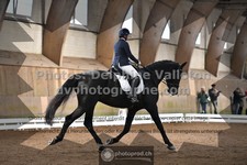 ref. photo 3363488