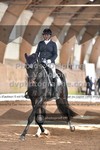 ref. photo 3363502