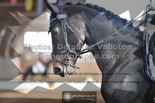 ref. photo 3363510