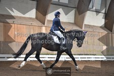 ref. photo 3363512